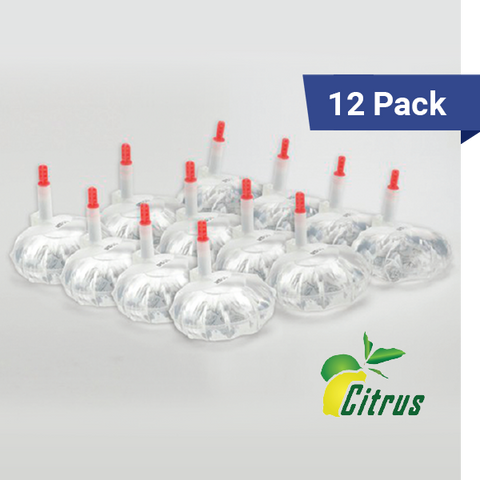 12 pack of 12oz hand sanitizer bulk refills, citrus