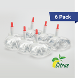 12 oz hand sanitizer bulk refills, citrus 6 pack
