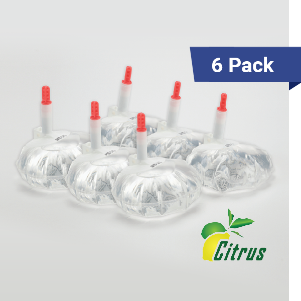 12 oz hand sanitizer bulk refills, citrus 6 pack