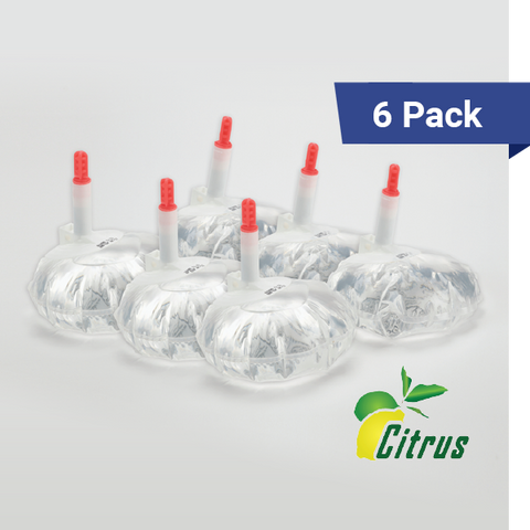 12 oz hand sanitizer refills, citrus 6 pack