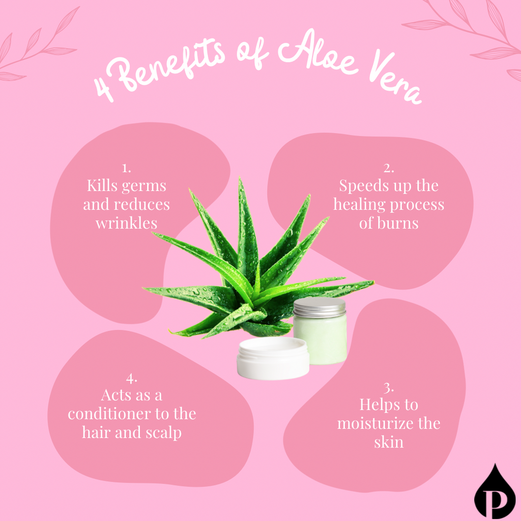 Benefits of Aloe Vera on the Skin