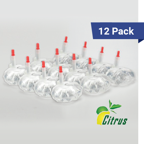 12 pack of 12oz refills, citrus