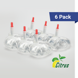 12 oz hand sanitizer refills, citrus 6 pack